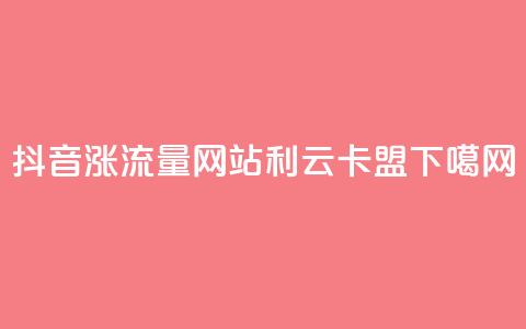 抖音涨流量网站 - 利云卡盟  第1张