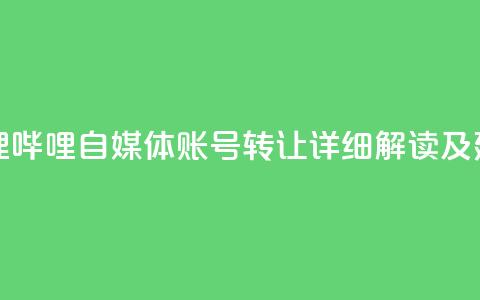 哔哩哔哩自媒体账号转让:详细解读及建议 第1张 哔哩哔哩自媒体账号转让:详细解读及建议 第1张