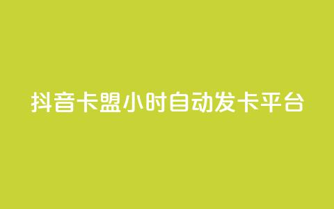 抖音卡盟24小时自动发卡平台,颜夕卡盟 - 全网辅助货源站 快手点赞评论软件微信支付  第1张