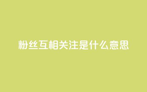 粉丝互相关注是什么意思,快手粉丝和关注的区别在哪里 - QQ点赞自助服务平台 qq资料免费十万赞  第1张