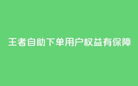 王者自助下单	，用户权益有保障  第1张