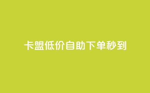 卡盟低价自助下单秒到 - 便捷快速的卡盟自助下单服务!  第1张