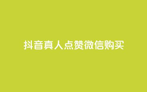 抖音真人点赞微信购买,24小时微商软件自助下单商城 - 抖音自动访客软件 快手涨粉一元下单  第1张