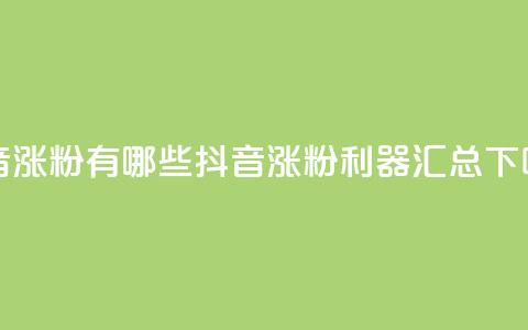 抖音涨粉有哪些app - 抖音涨粉利器汇总！  第1张
