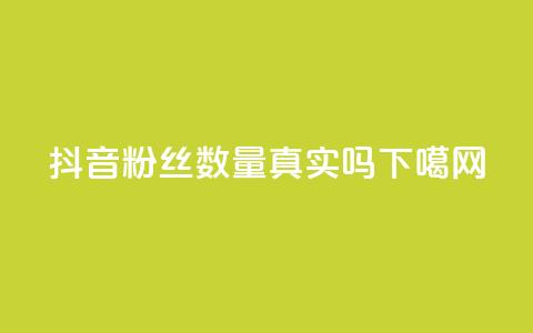 抖音粉丝数量真实吗? 第1张 抖音粉丝数量真实吗? 第1张