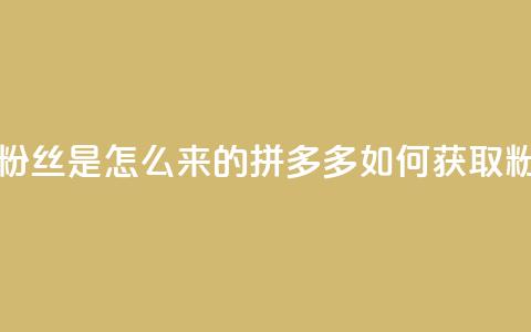 拼多多上粉丝是怎么来的(拼多多如何获取粉丝)  第1张