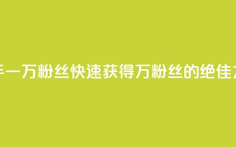 快手一万粉丝(快速获得1万粉丝的绝佳方法)  第1张