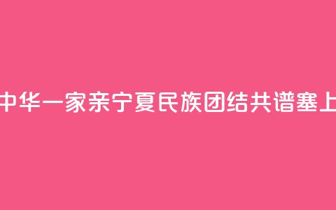 【铸牢共同体 中华一家亲】宁夏:民族团结 共谱塞上江南新篇章 第1张 【铸牢共同体 中华一家亲】宁夏:民族团结 共谱塞上江南新篇章 第1张