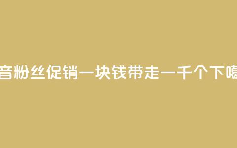 抖音粉丝促销：一块钱带走一千个！  第1张
