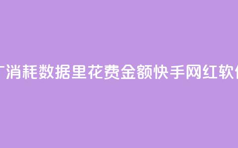 快手推广消耗数据里花费金额 - 快手网红软件 第1张 快手推广消耗数据里花费金额 - 快手网红软件 第1张