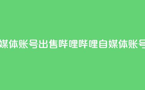 哔哩哔哩自媒体账号出售(哔哩哔哩自媒体账号转让)  第1张