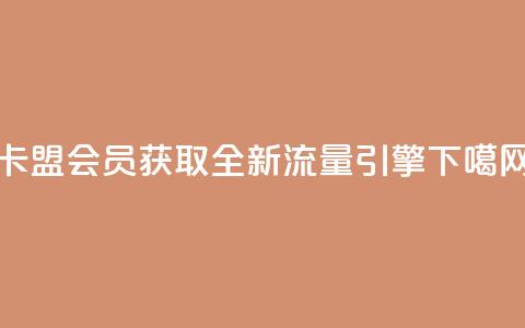 卡盟会员:获取全新流量引擎 第1张 卡盟会员:获取全新流量引擎 第1张