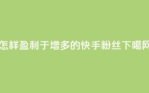 怎样盈利于增多的快手粉丝  第1张