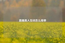 直播真人互动怎么接单