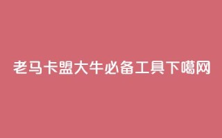 老马卡盟：SEO大牛必备工具。