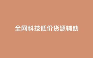 全网科技低价货源辅助,抖音推广代运营 - 24小时下单平台最低价 - 卡盟24小时自助平台官网