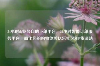 24小时dy业务自助下单平台，24小时智能订单服务平台，简化您的购物体验亿乐社区SUP货源站