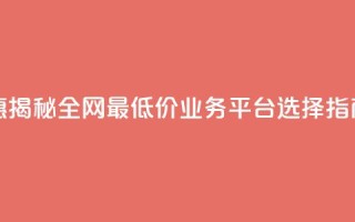 超值优惠：揭秘全网最低价业务平台选择指南