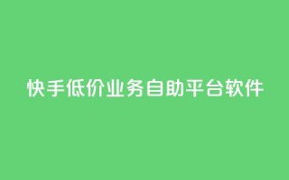 快手低价业务自助平台软件 - 快手推出低价自助平台软件助力业务发展！