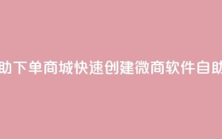 24小时微商软件自助下单商城(快速创建微商软件自助下单商城)