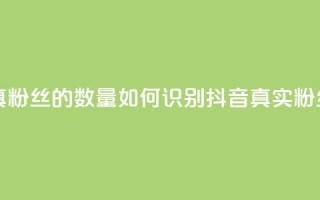 抖音怎么看真粉丝的数量(如何识别抖音真实粉丝数量)