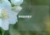 两碗面条图片