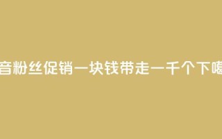 抖音粉丝促销：一块钱带走一千个！