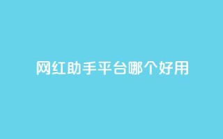 网红助手平台哪个好用,快手全网最低价下单平台 - dy免费24小时下单网站最新版 - 抖音业务代理平台