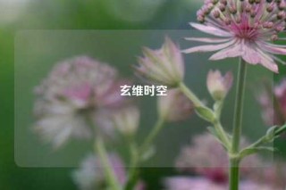 玄维时空