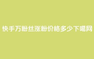快手4万粉丝涨粉价格多少？