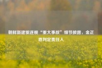 朝鲜新建驱逐舰“重大事故”细节披露，金正恩判定责任人