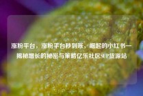 涨粉平台，涨粉平台秒到账，崛起的小红书—揭秘增长的秘密与策略亿乐社区SUP货源站