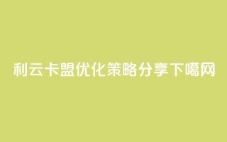 利云卡盟SEO优化策略分享
