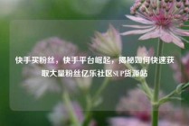 快手买粉丝，快手平台崛起，揭秘如何快速获取大量粉丝亿乐社区SUP货源站