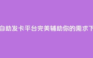 24小时自助发卡平台：完美辅助你的需求