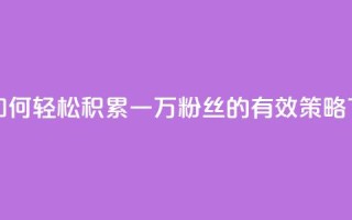 快手如何轻松积累一万粉丝的有效策略