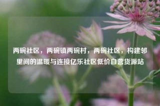 两碗社区，两碗镇两碗村，两碗社区，构建邻里间的温暖与连接亿乐社区低价自营货源站