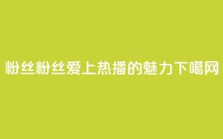 ks粉丝(KS粉丝：爱上热播的魅力)