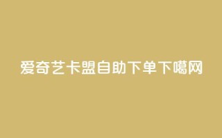 爱奇艺卡盟自助下单