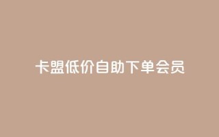 卡盟低价自助下单会员,拼多多在线助力接单 - 拼多多砍价一元10刀 - 拼多多助力最后一步免单