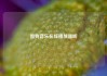 酷狗音乐在线播放器听