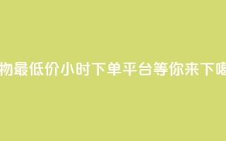 购物最低价，24小时下单平台等你来！