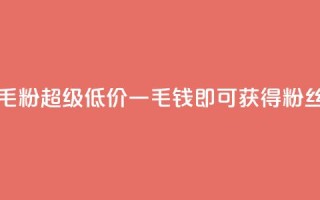 低价Ks一毛1000粉(超级低价，一毛钱即可获得1000粉丝)