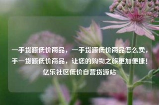 一手货源低价商品，一手货源低价商品怎么卖，手一货源低价商品，让您的购物之旅更加便捷！亿乐社区低价自营货源站