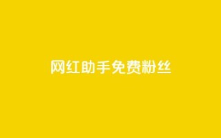 网红助手免费粉丝,小红书500粉购买 - douyingcom充值 - 粉丝是怎么涨起来的