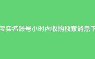 支付宝实名账号24小时内收购--独家消息
