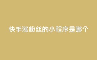 快手涨粉丝的小程序是哪个,彩虹云商城怎么自动补充卡密 - ks一键取赞下载 - 低价购买QQ会员的平台