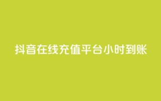 抖音在线充值平台24小时到账,小老弟业务下单平台 - 拼多多现金大转盘助力 - pdd幸运大转盘刷人