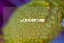 qq会员充q币折扣额度