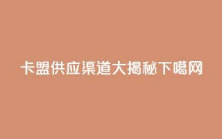 卡盟供应渠道大揭秘